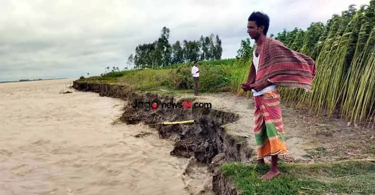 নদীভাঙনে বিলীন হচ্ছে ফসলি জমি ও ঘরবাড়ি