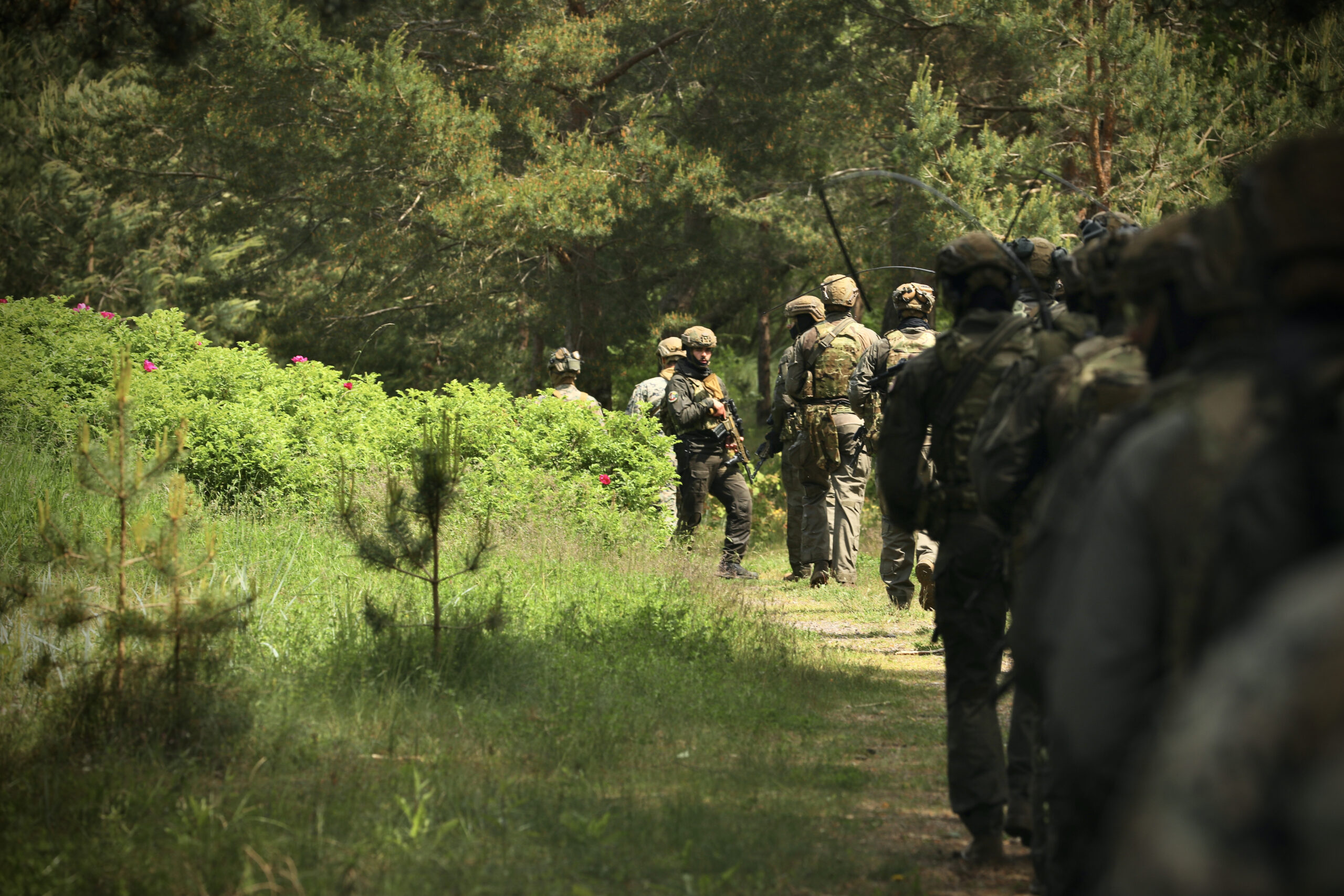 Putin's next move? Five Russian attack scenarios Europe must prepare for - Atlantic Council