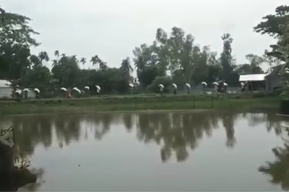 কুড়িগ্রামে দরজা ভেঙে গুদাম থেকে ১৯৭ বস্তা সার নিয়ে গেল বিক্ষুব্ধ কৃষকরা