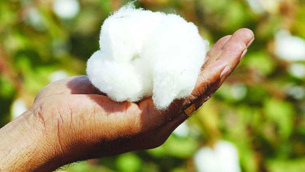 তুলা আমদানিতে অগ্রিম আয়কর প্রত্যাহারের দাবি
