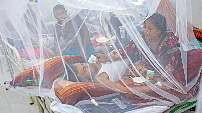 ২৪ ঘণ্টায় ডেঙ্গুতে হাসপাতালে ভর্তির নতুন রেকর্ড, ২ জনের মৃত্যু | The Daily Star