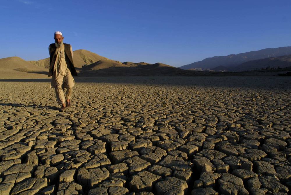 Fight against desertification