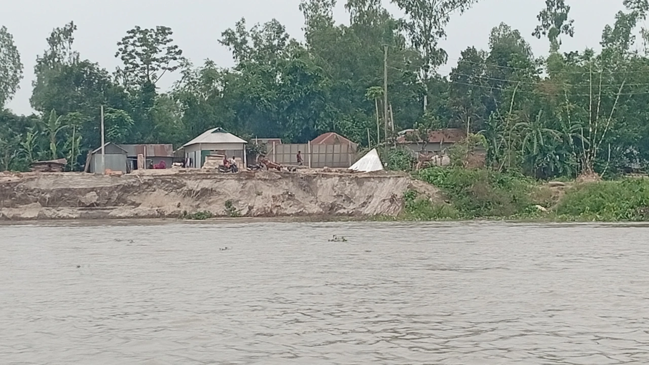 নদীভাঙনে বিলীন হচ্ছে ঘর-জমি, আতঙ্কে হাজারো মানুষ | কালবেলা