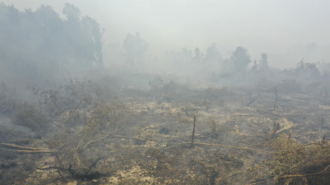 Toxic haze from forest fires closes schools, airports in Indonesia,  Malaysia - France 24