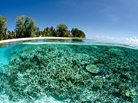 From Reefs to Revenues: Turning Marine Conservation into Investable Assets  in the Maldives - Dharshana Weerakoon