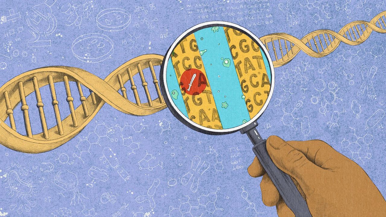 How much of our personalities are determined at birth?
