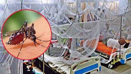ডেঙ্গুতে মৃত্যু ছাড়াল ২০০, হাসপাতালে নতুন ভর্তি ১,৮৬৮