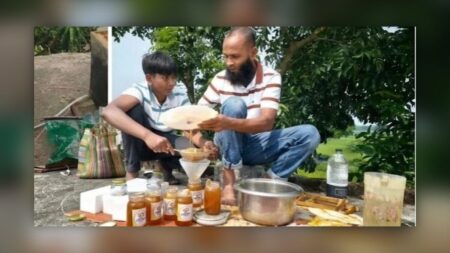বাড়ির ছাদে মৌচাক, ঘরে বিশুদ্ধ মধু—সাতক্ষীরার সাদ্দামের ব্যতিক্রমী উদ্যোগ