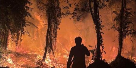 ইন্দোনেশিয়ার দাবানলে বিপন্ন হাজারো প্রাণী ও উদ্ভিদ, ঝুঁকিতে ২৮০ কোটি ডলারের প্রকল্প