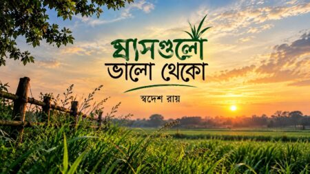 ঘাসগুলো ভালো থেকো